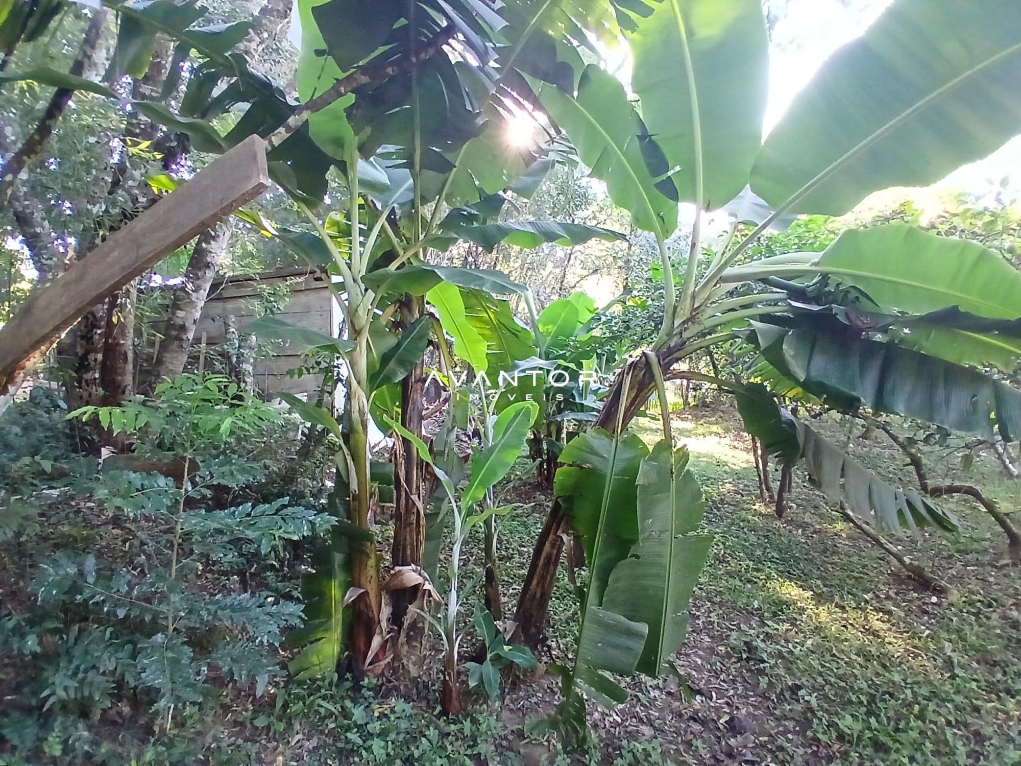 Casa com 2 quartos à venda em Parque Serrano I, Itaara/RS — foto 14 de 14