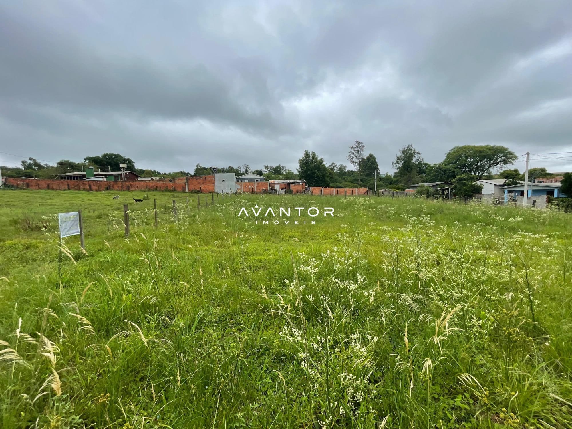 Terreno à venda em Diácono João Luiz Pozzobon, Santa Maria/RS — foto 3 de 4