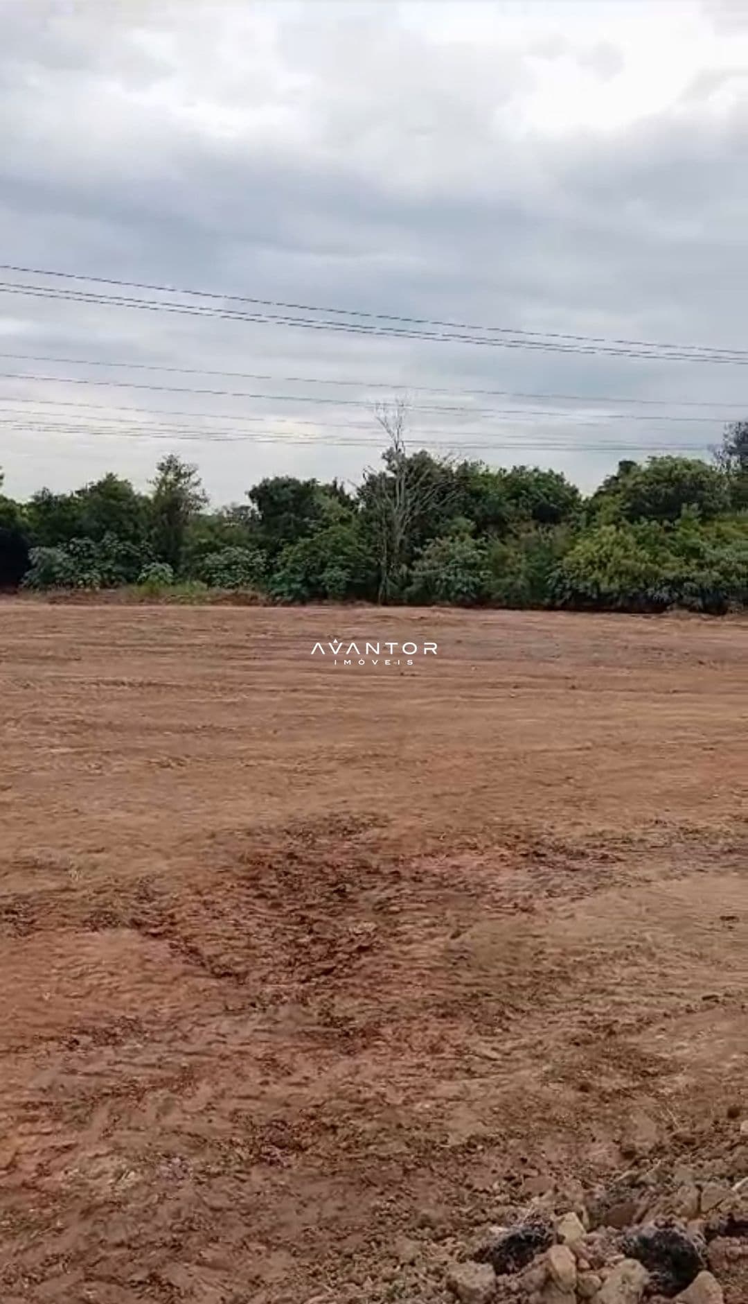 Terreno com vegetação ao fundo — Terreno à venda em Renascença, Santa Maria/RS
