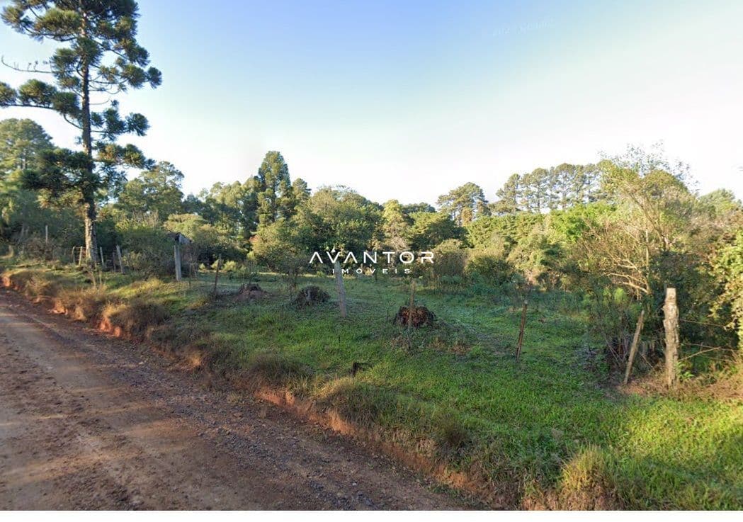 Terreno com vegetação e cerca de arame — Terreno à venda em Etelvina, Itaara/RS