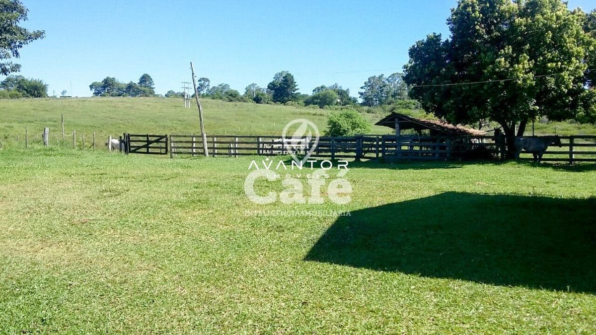Terreno com pasto e cerca de madeira — Chácara com 2 quartos à venda em Riveira, São Pedro do Sul/RS