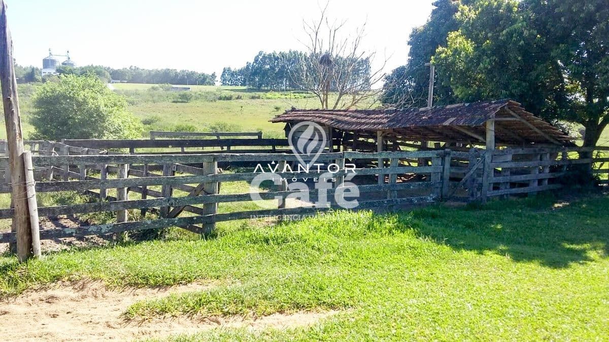 Chácara com 2 quartos à venda em Riveira, São Pedro do Sul/RS — foto 3 de 9