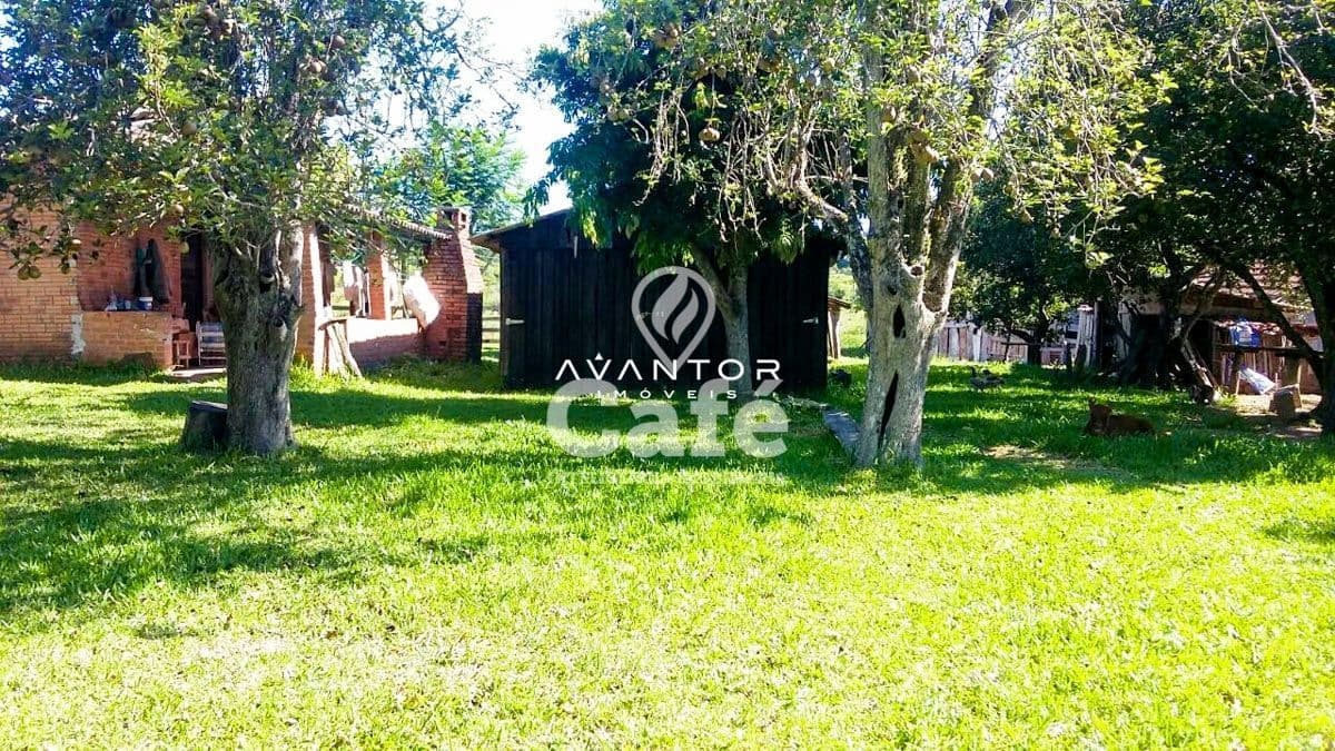 Chácara com 2 quartos à venda em Riveira, São Pedro do Sul/RS — foto 8 de 9