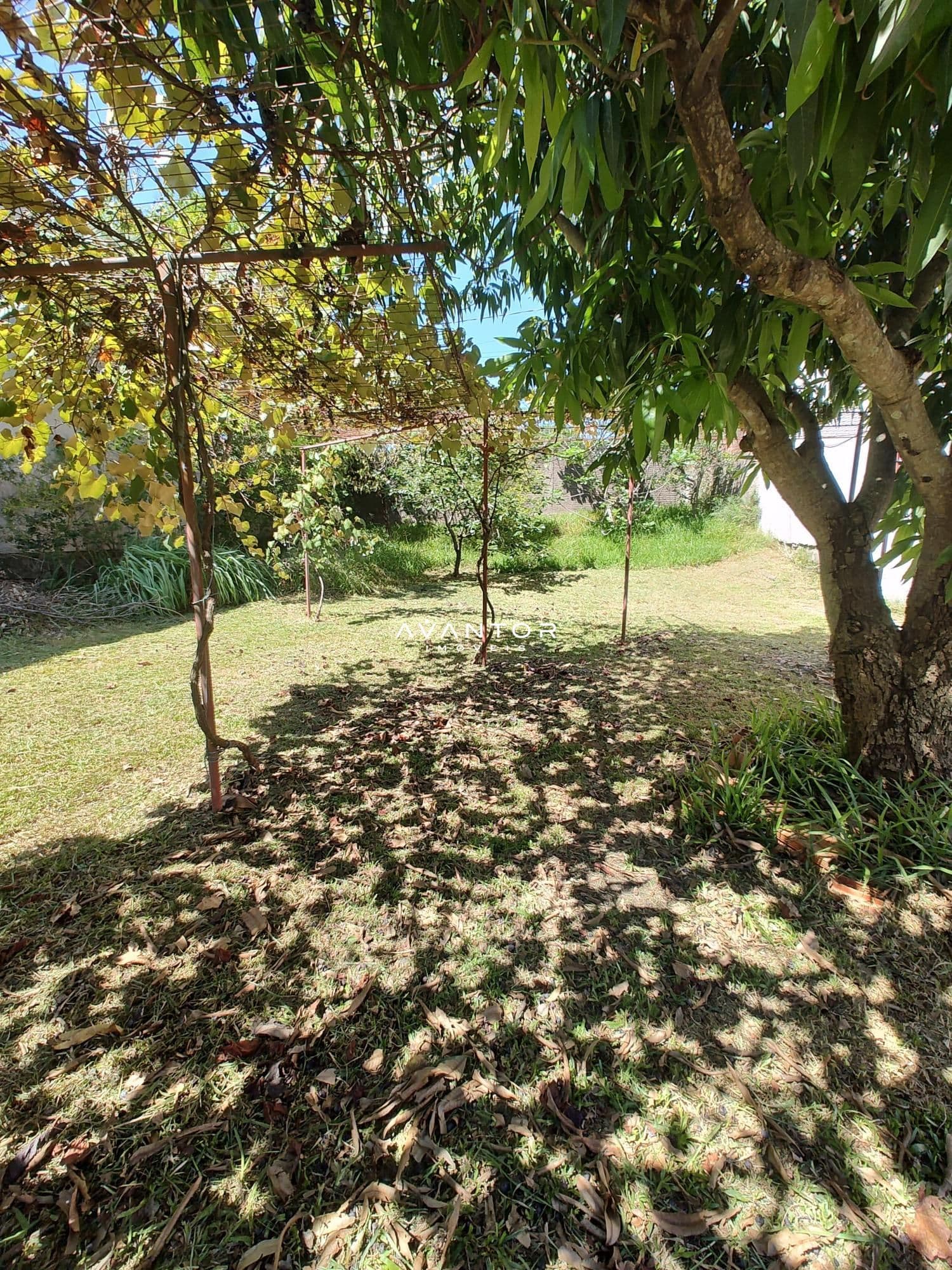 Terreno à venda em Dom Antônio Reis, Santa Maria/RS — foto 4 de 4