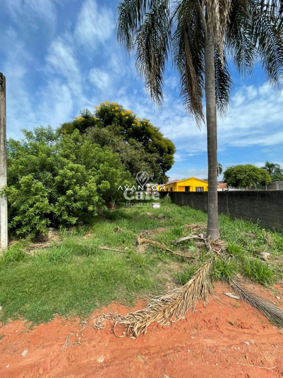 Terreno com árvores e palmeiras — Terreno à venda em Camobi, Santa Maria/RS