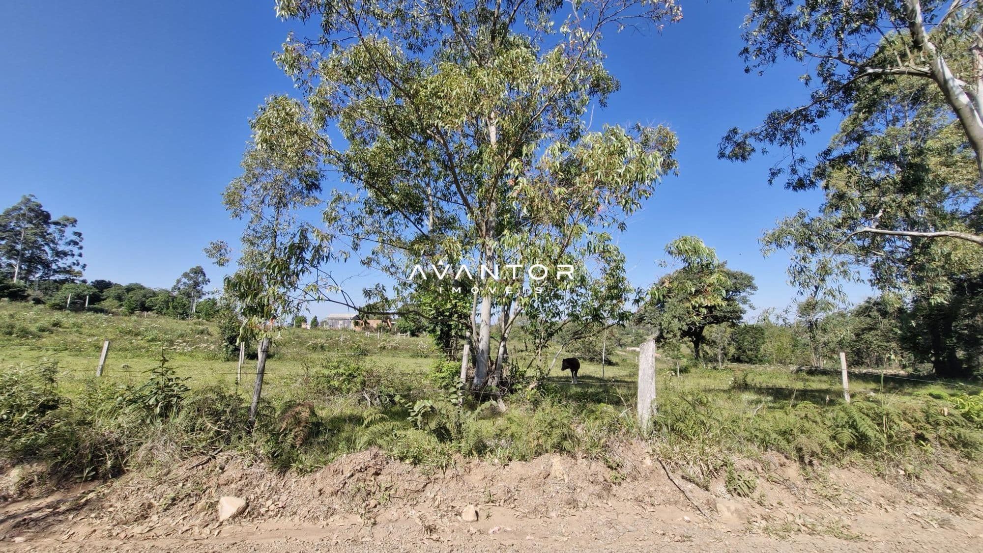 Terreno à venda em Etelvina, Itaara/RS — foto 2 de 5