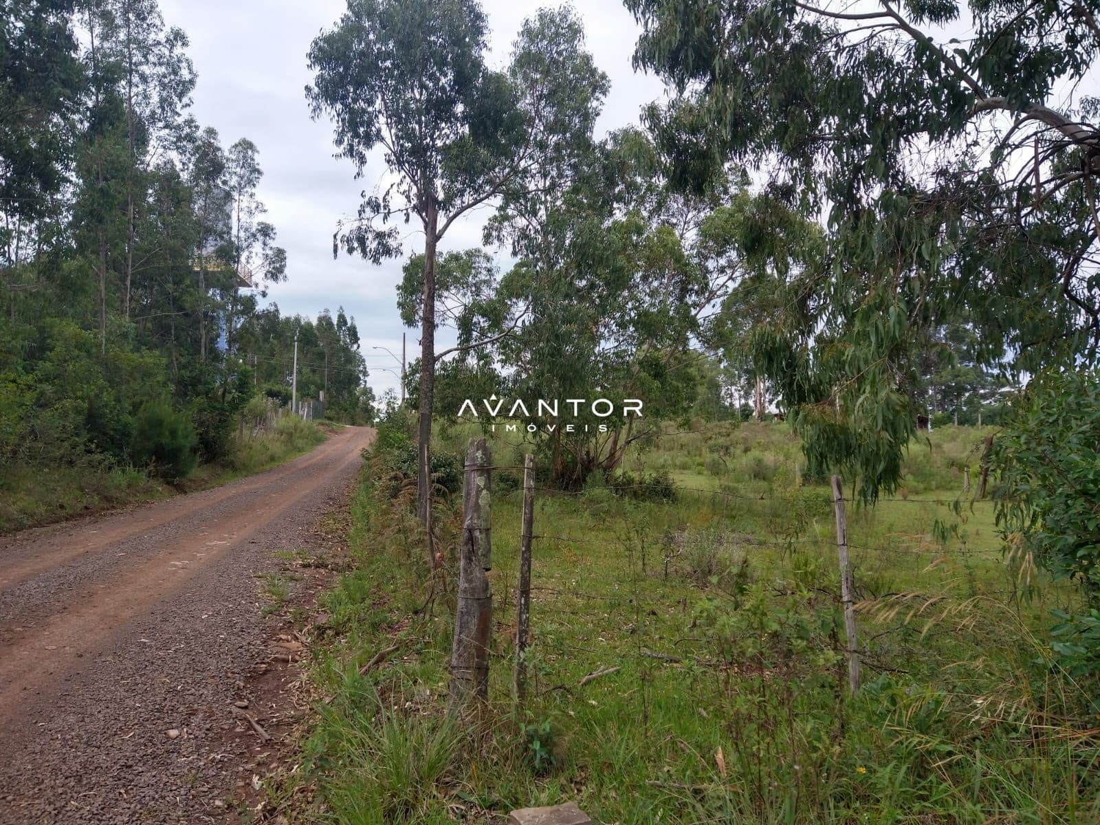 Terreno à venda em Etelvina, Itaara/RS — foto 3 de 5
