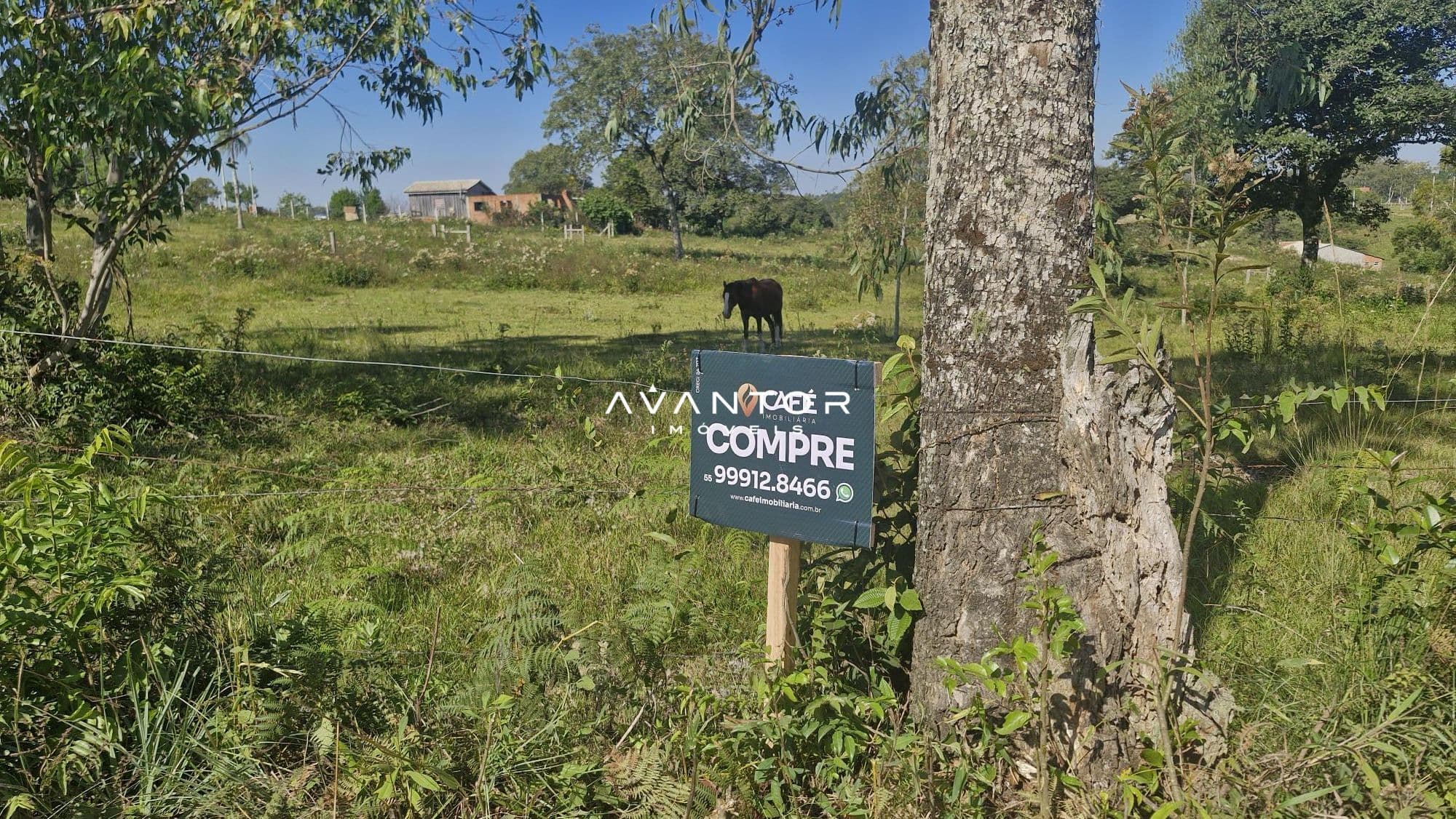 Terreno com árvores e animais — Terreno à venda em Etelvina, Itaara/RS