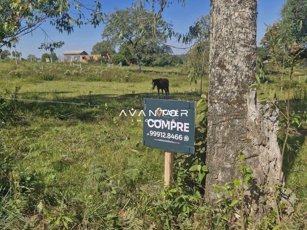 Terreno com árvores e animais — Terreno à venda em Etelvina, Itaara/RS
