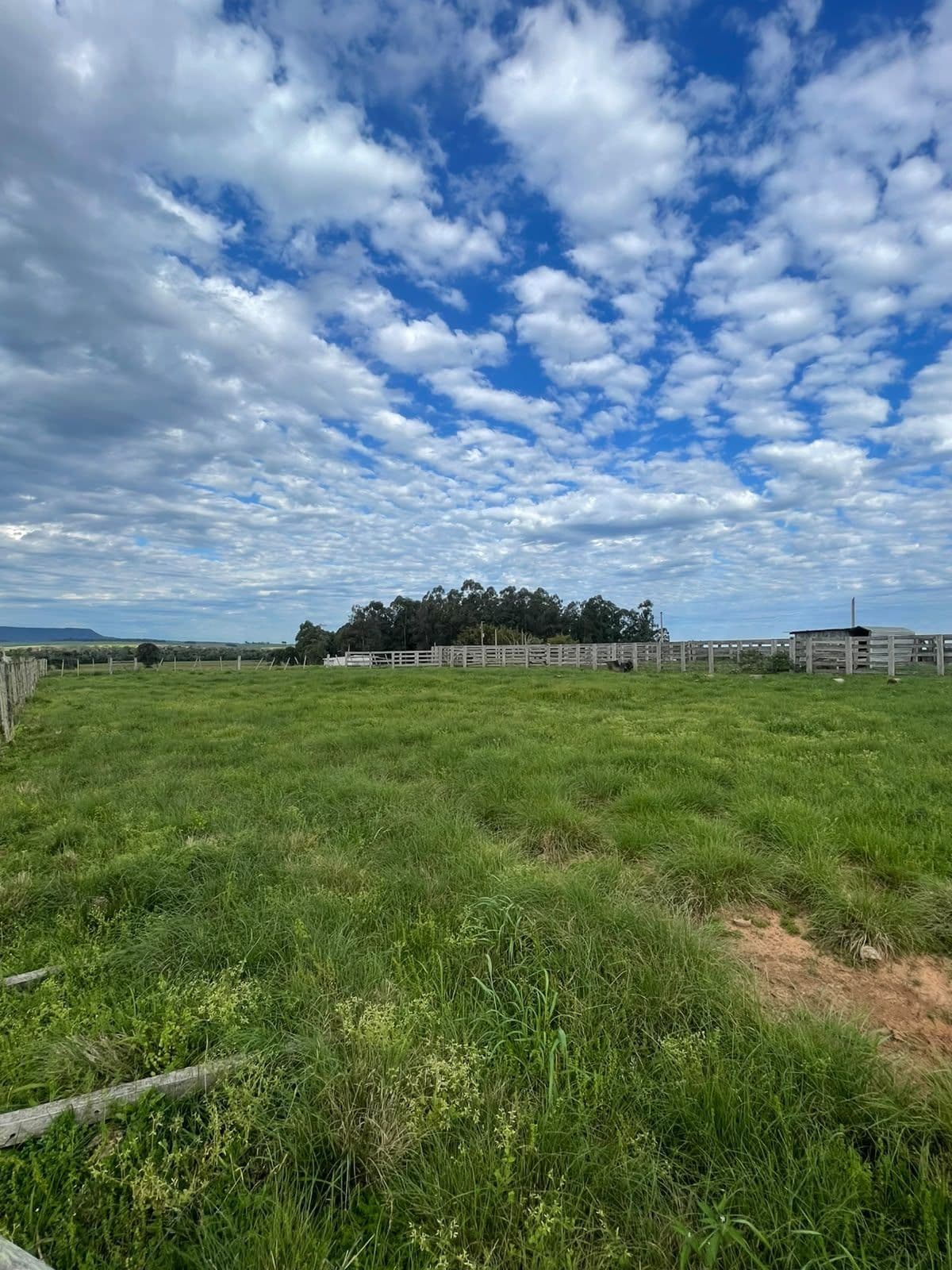Campo à venda em Zona rural, Jaguari/RS — foto 3 de 23