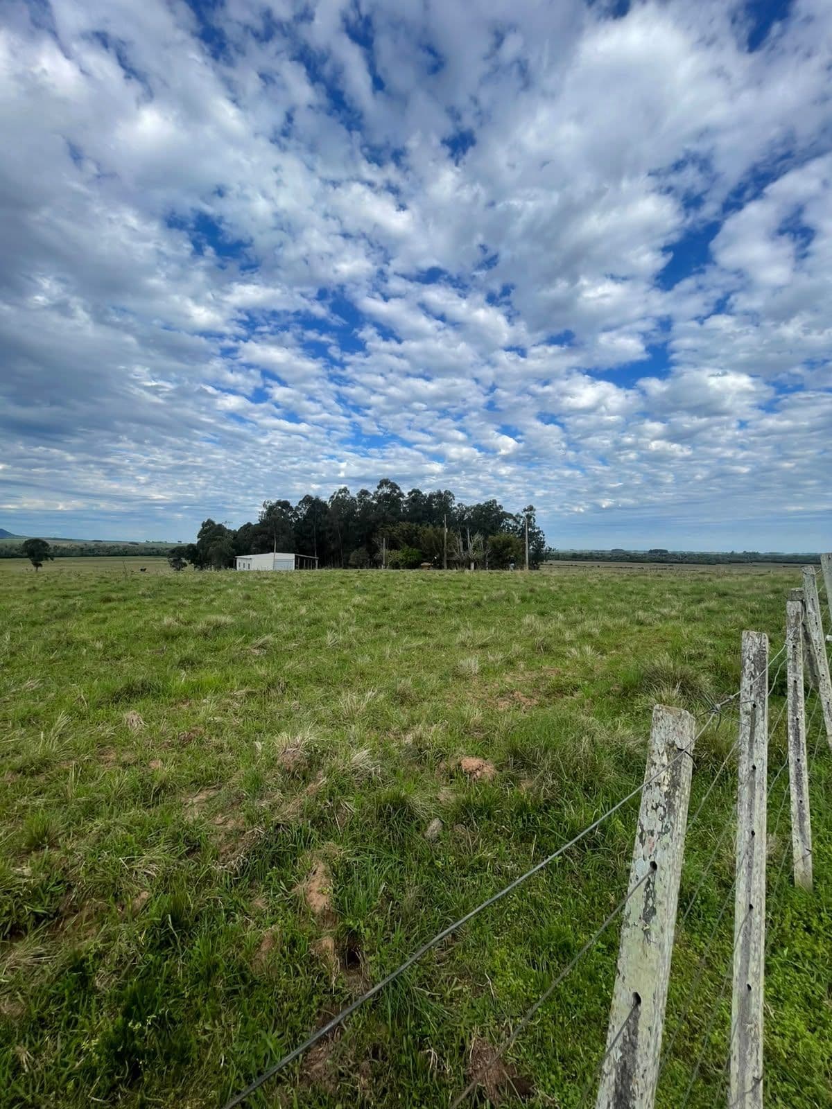 Campo à venda em Zona rural, Jaguari/RS — foto 4 de 23