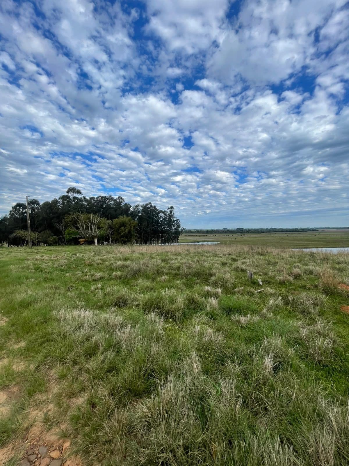 Campo à venda em Zona rural, Jaguari/RS — foto 8 de 23