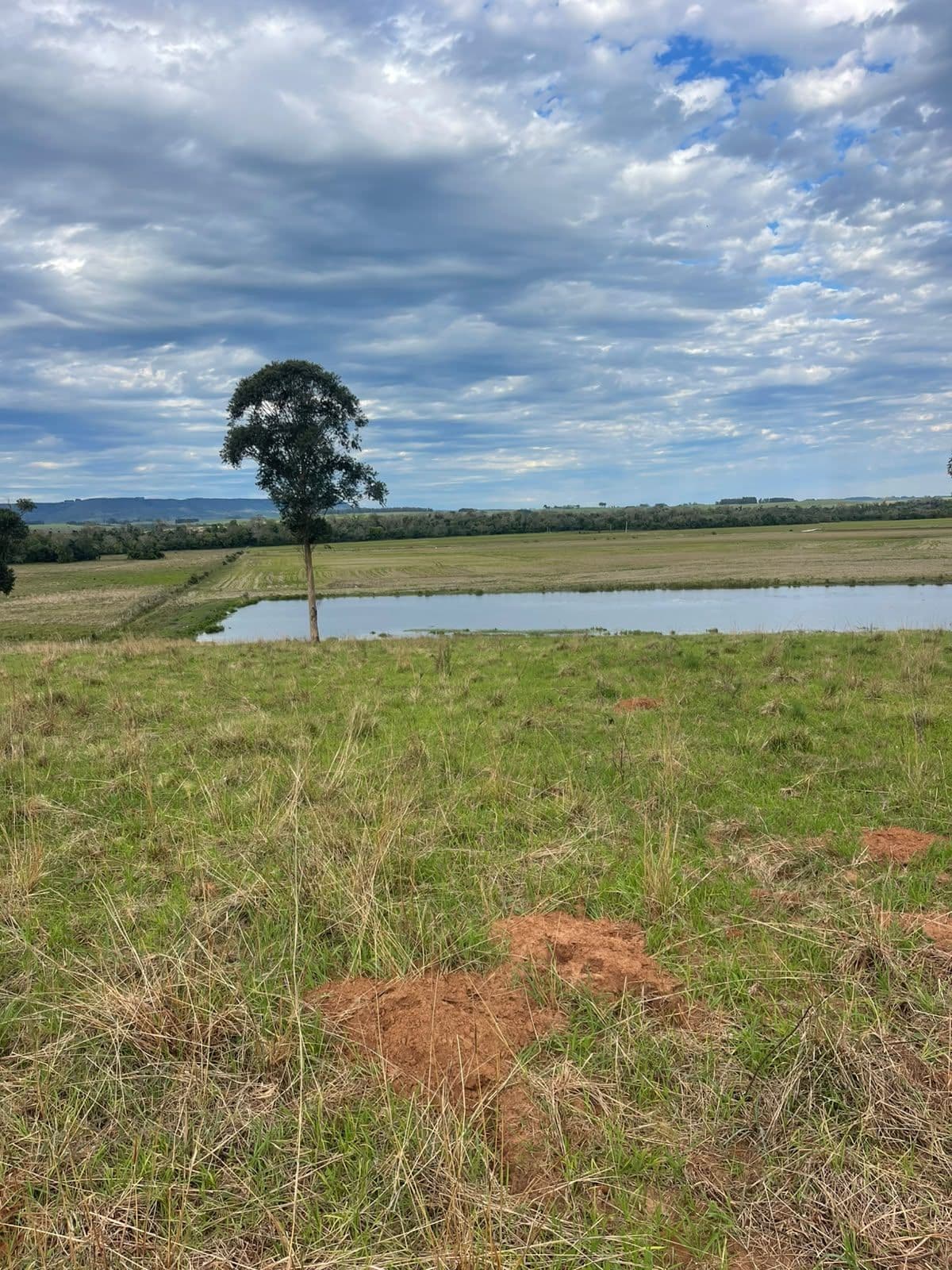 Campo à venda em Zona rural, Jaguari/RS — foto 9 de 23