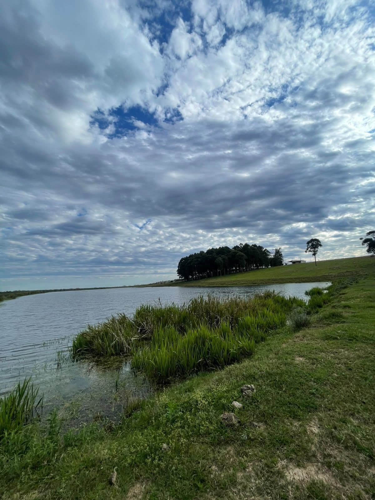 Campo à venda em Zona rural, Jaguari/RS — foto 10 de 23