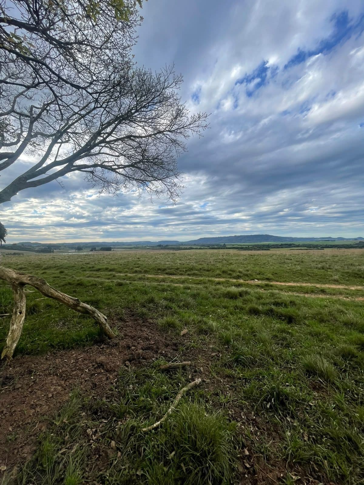 Campo à venda em Zona rural, Jaguari/RS — foto 11 de 23