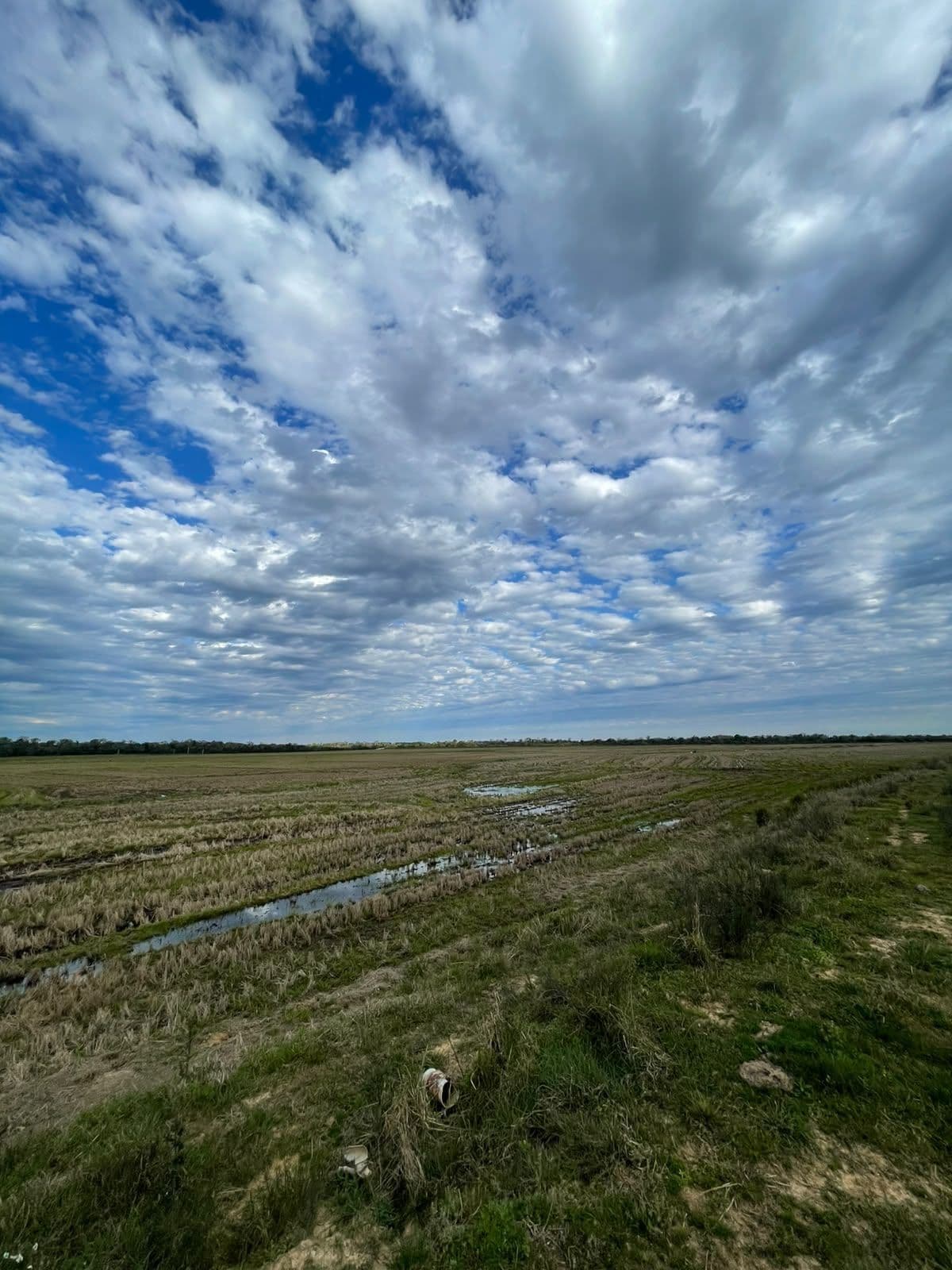Campo à venda em Zona rural, Jaguari/RS — foto 12 de 23