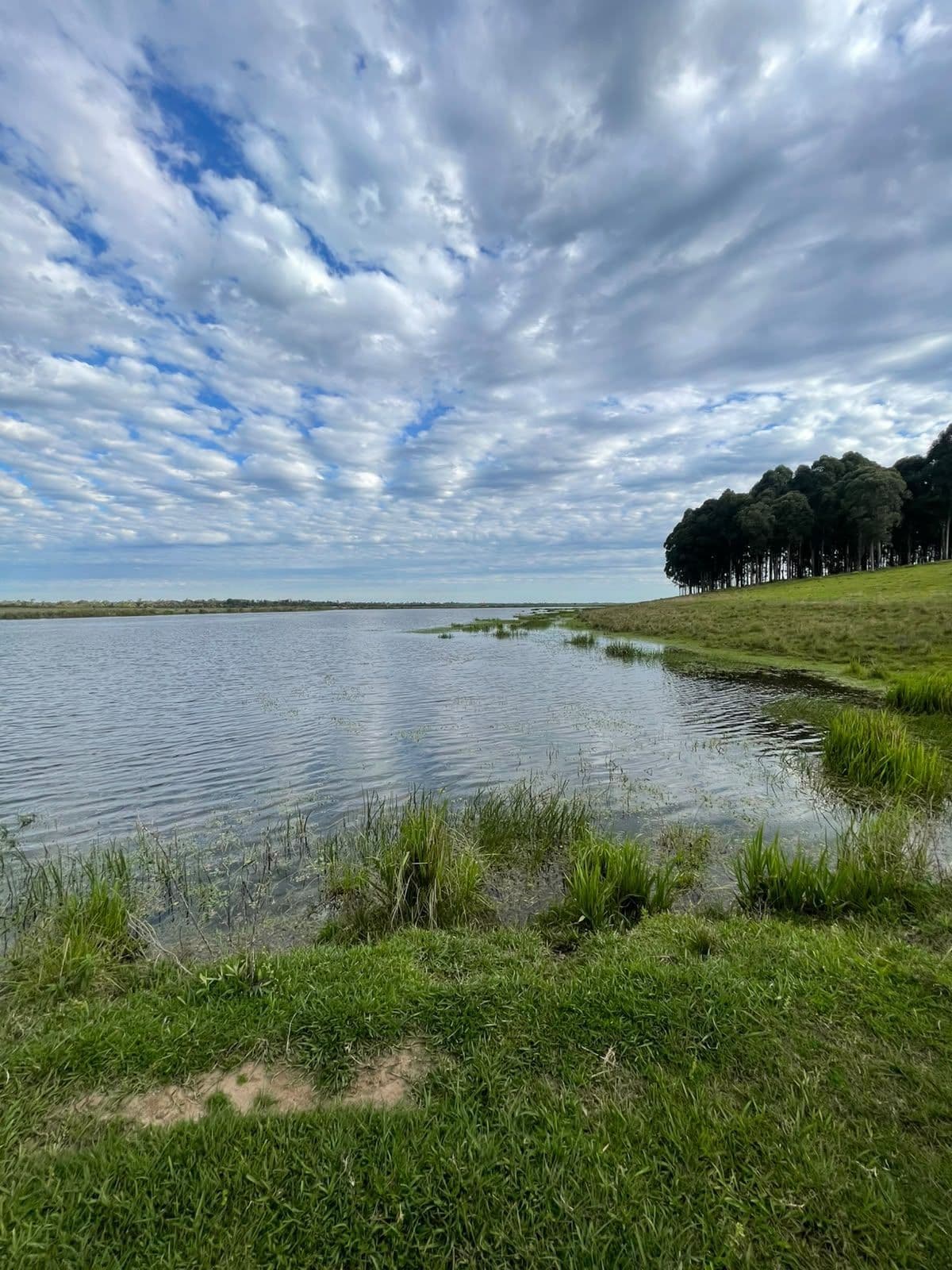 Campo à venda em Zona rural, Jaguari/RS — foto 13 de 23
