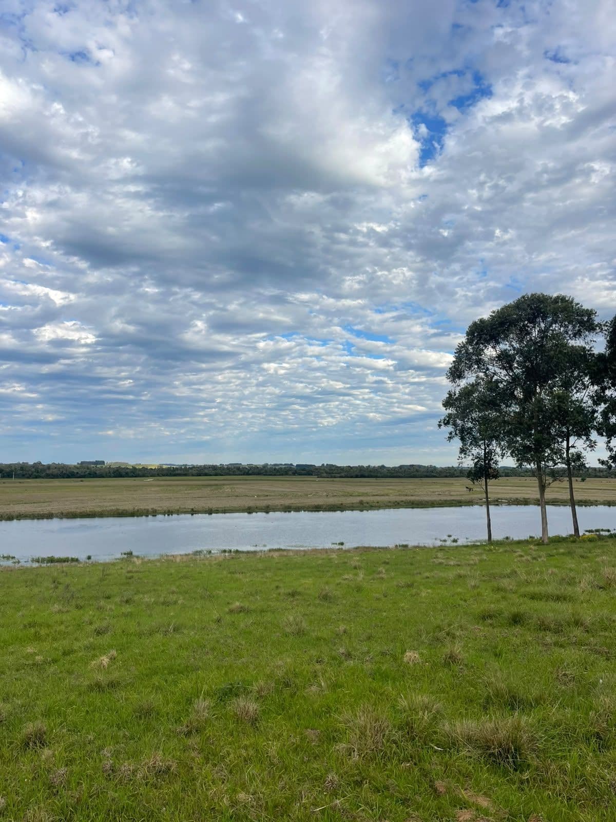 Campo à venda em Zona rural, Jaguari/RS — foto 14 de 23