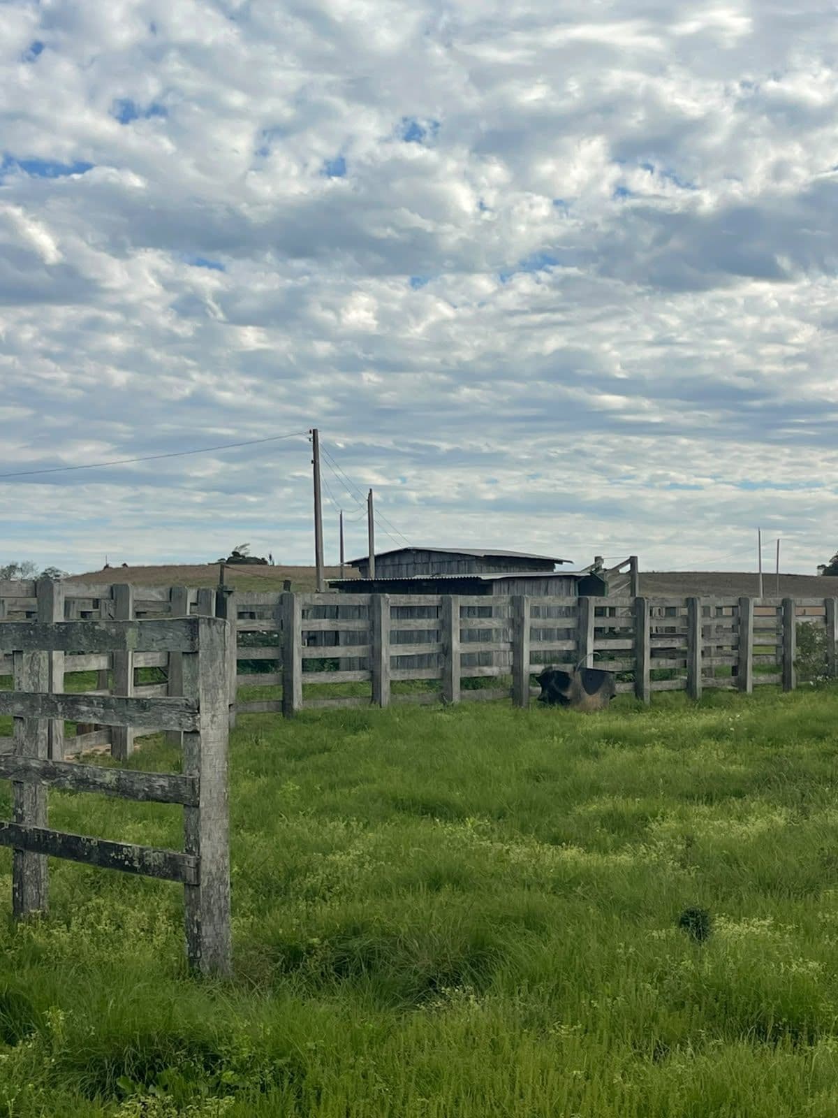 Campo à venda em Zona rural, Jaguari/RS — foto 15 de 23