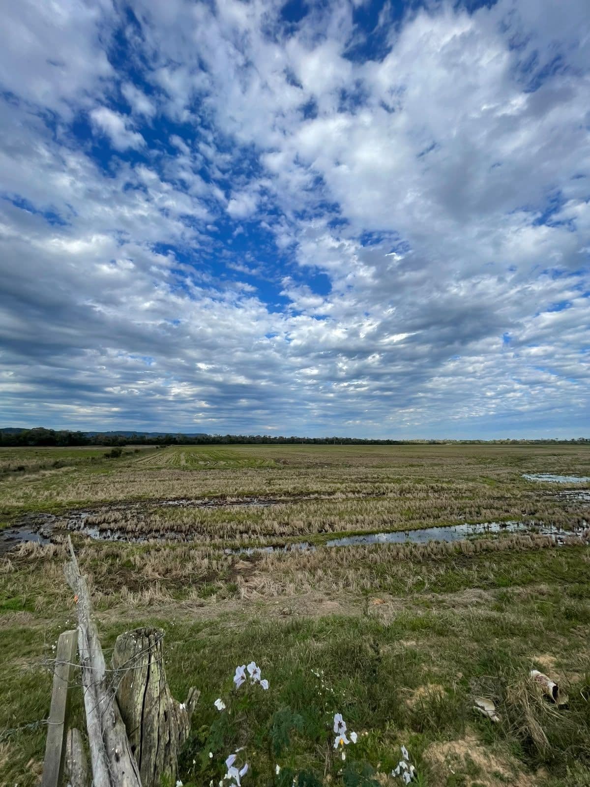 Campo à venda em Zona rural, Jaguari/RS — foto 16 de 23