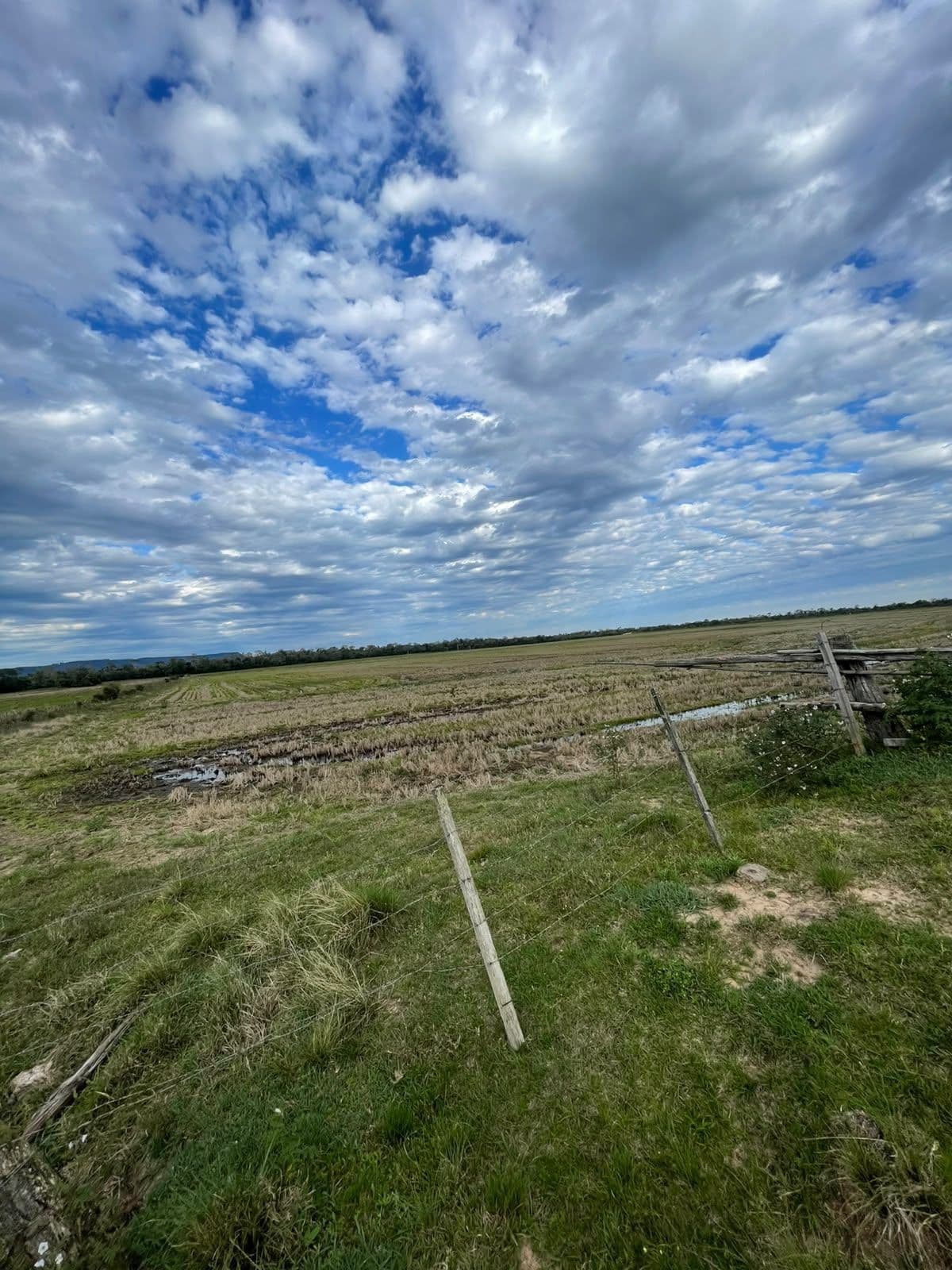 Campo à venda em Zona rural, Jaguari/RS — foto 18 de 23