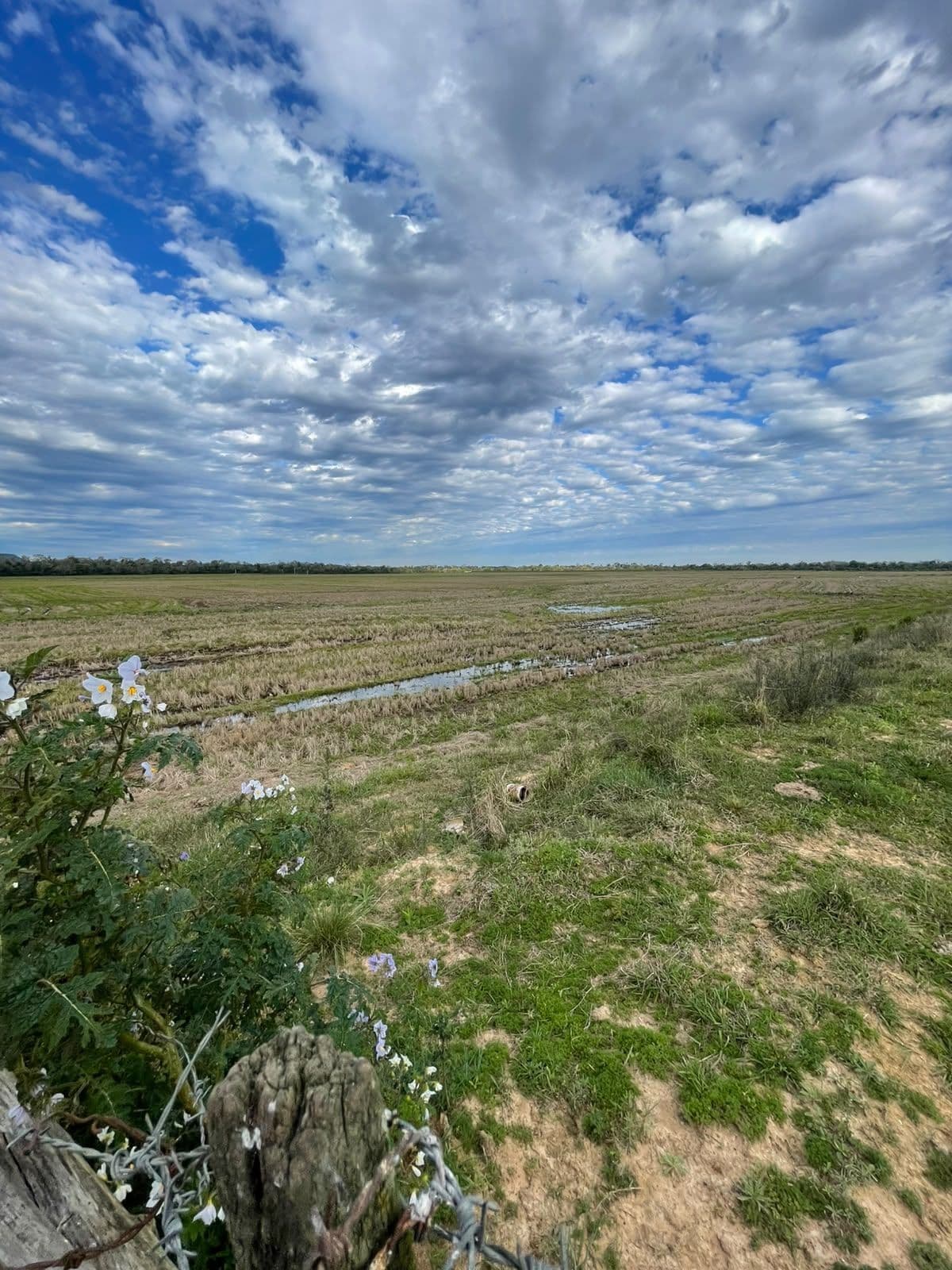 Campo à venda em Zona rural, Jaguari/RS — foto 19 de 23
