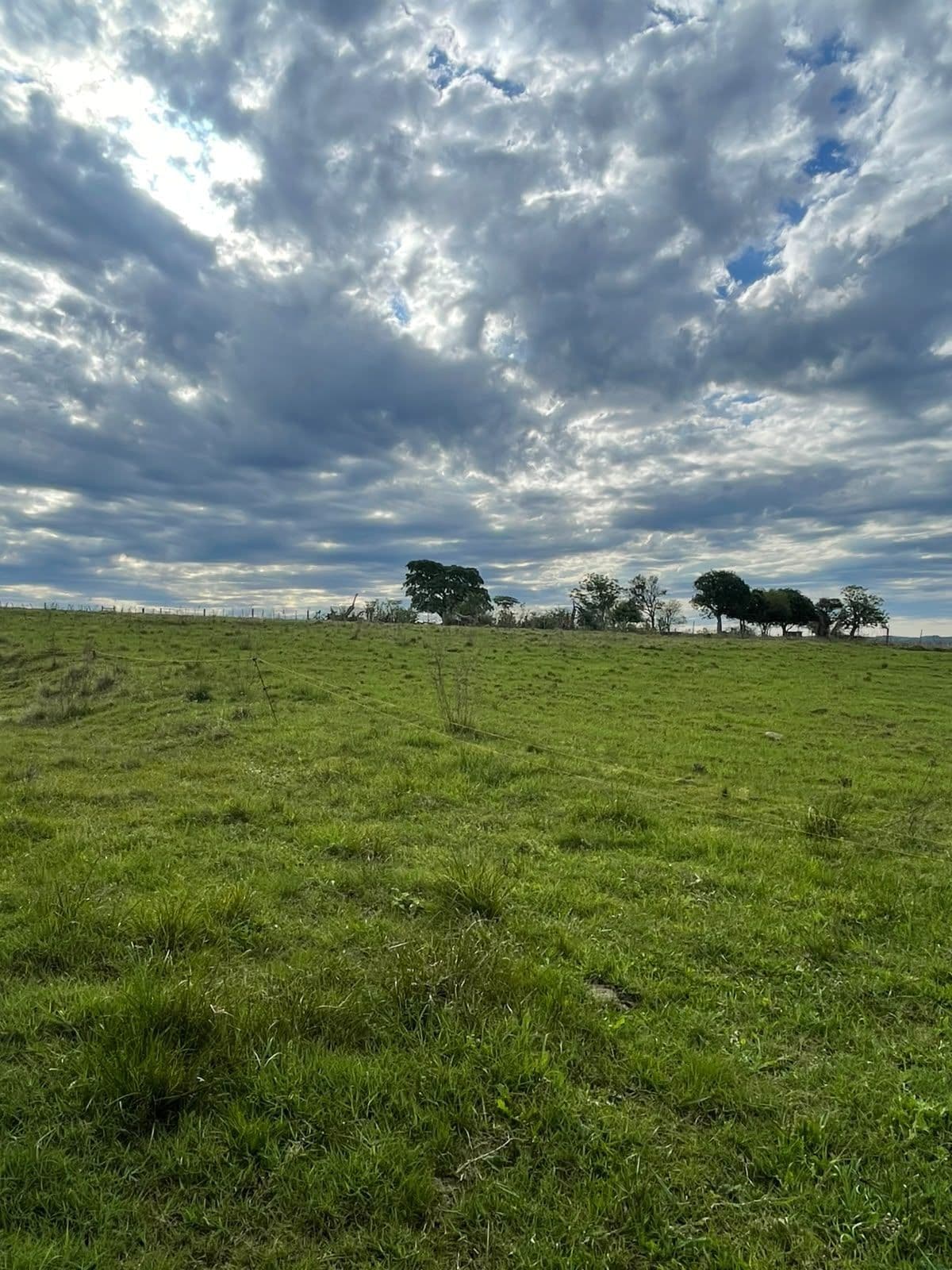 Campo à venda em Zona rural, Jaguari/RS — foto 21 de 23