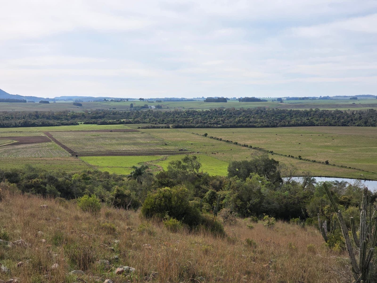 Campo à venda em Zona rural, Jaguari/RS — foto 22 de 23