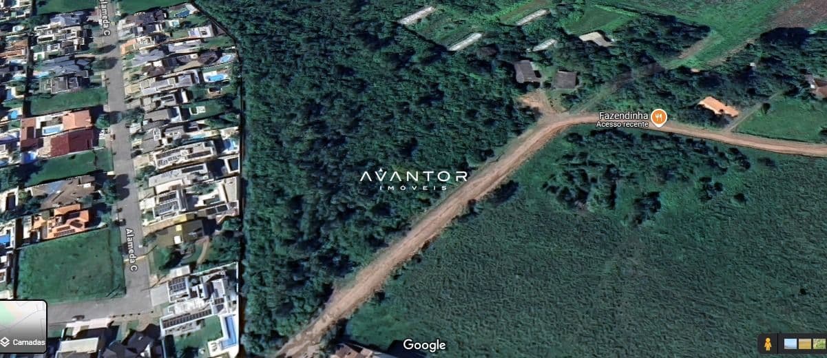 Terreno com acesso recente e vegetação densa — Terreno à venda em São José, Santa Maria/RS