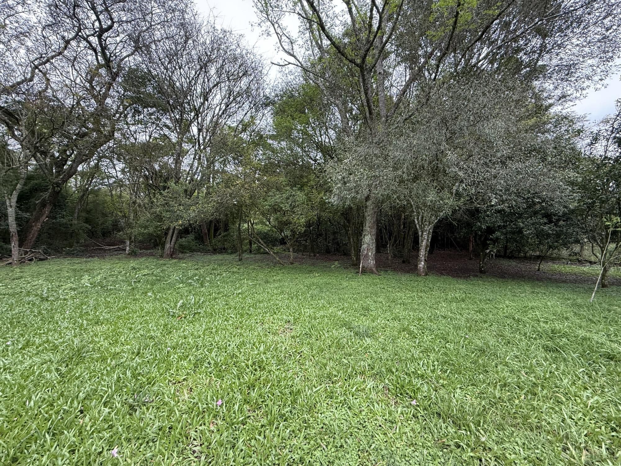 Terreno à venda em Pinheiro Machado, Santa Maria/RS — foto 5 de 8