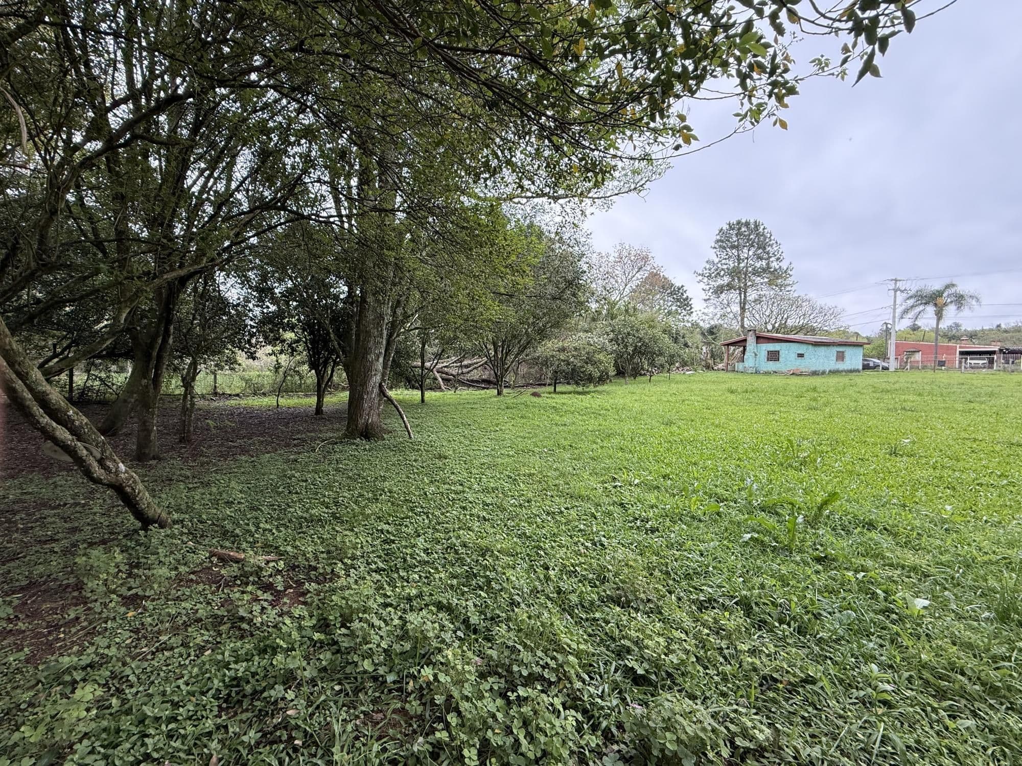 Terreno à venda em Pinheiro Machado, Santa Maria/RS — foto 7 de 8
