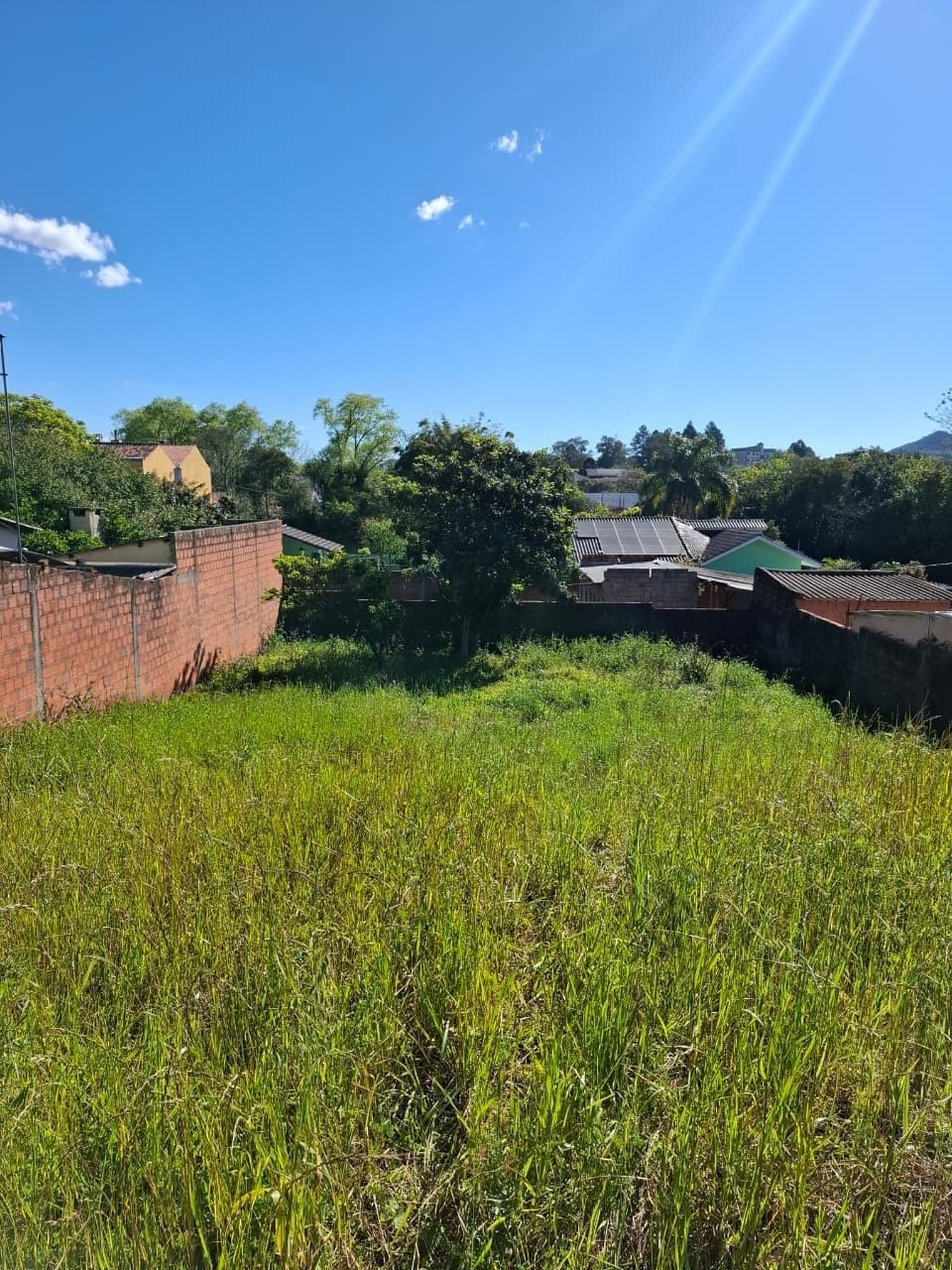 Terreno com vegetação e construções vizinhas — Terreno à venda em Camobi, Santa Maria/RS