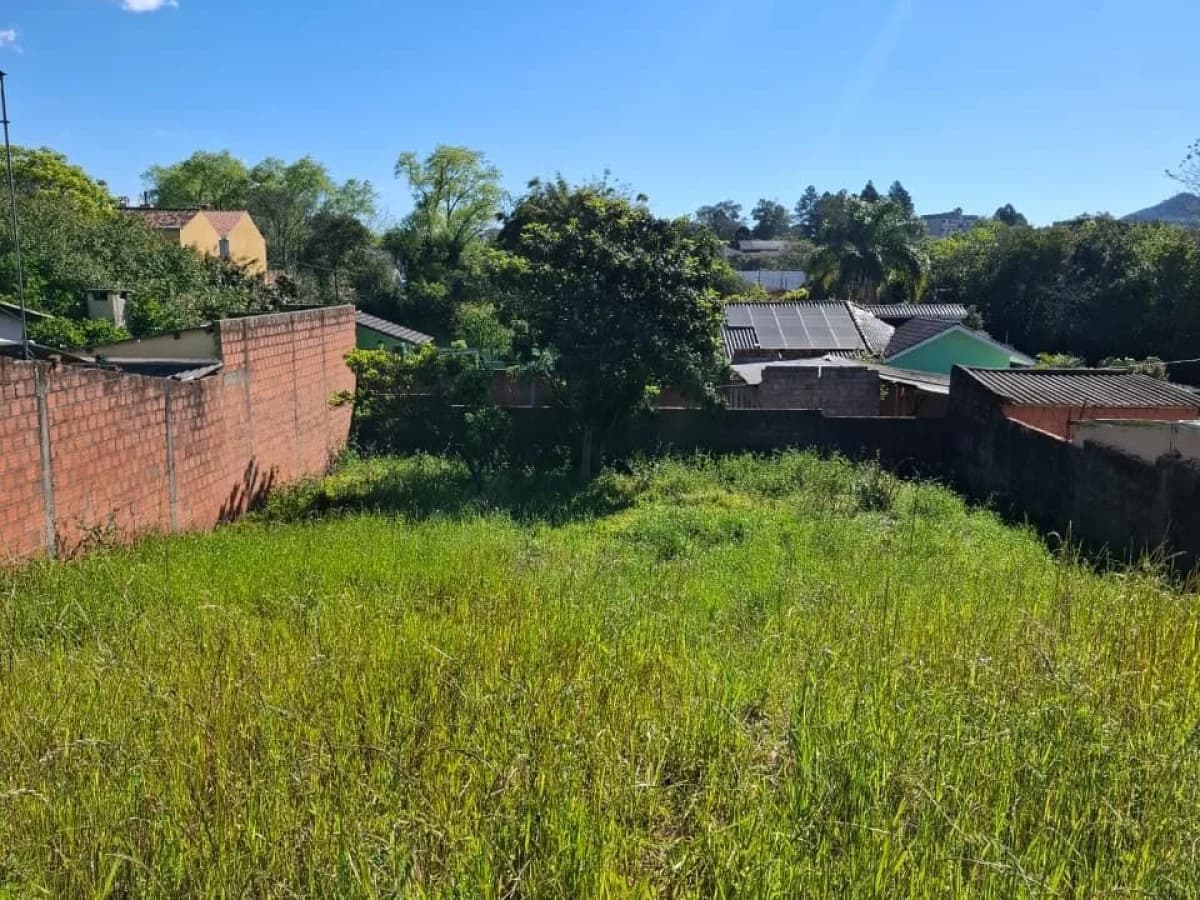 Terreno com vegetação e construções vizinhas — Terreno à venda em Camobi, Santa Maria/RS