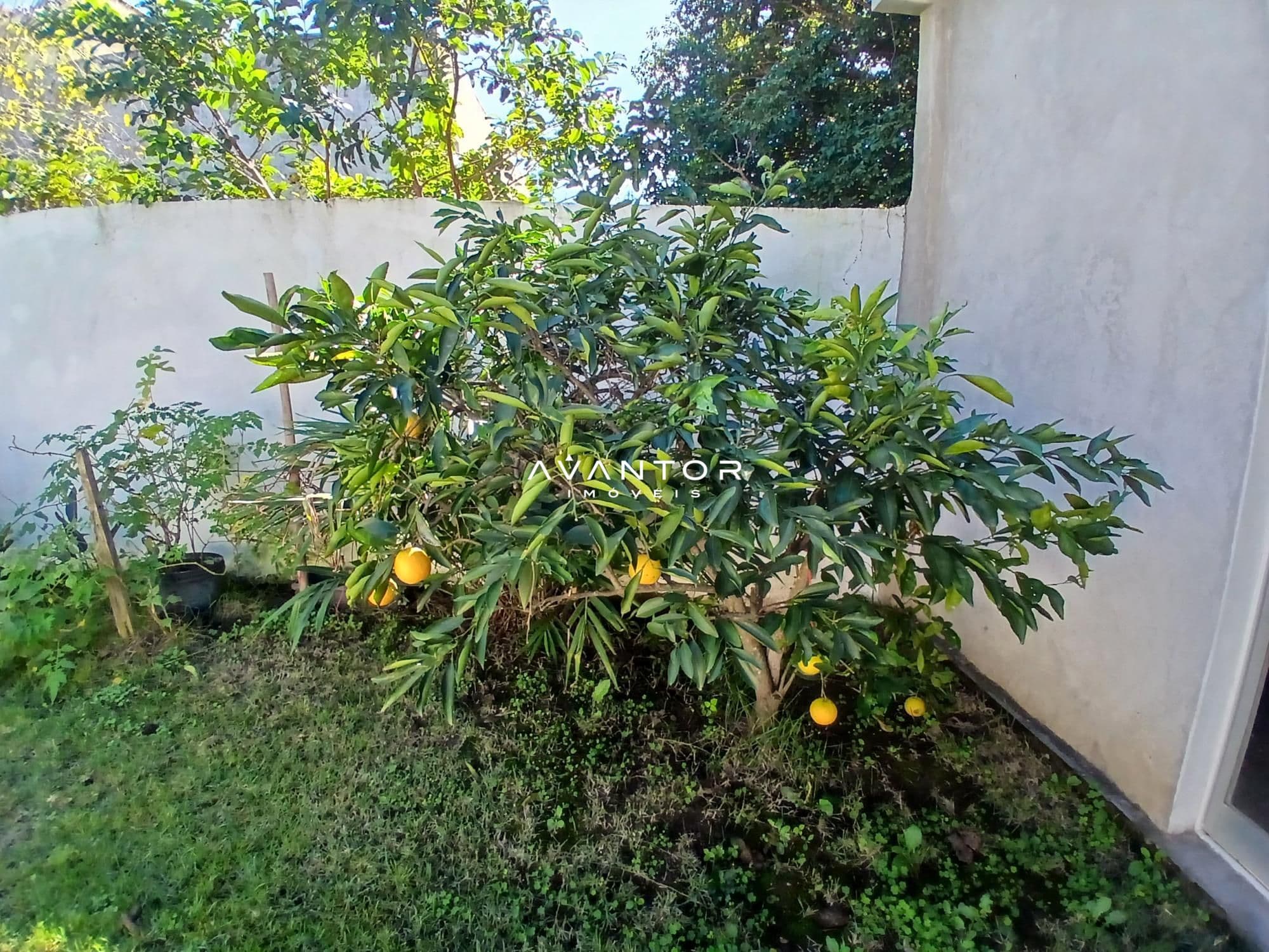 Casa com 5 quartos à venda em Menino Jesus, Santa Maria/RS — foto 10 de 14