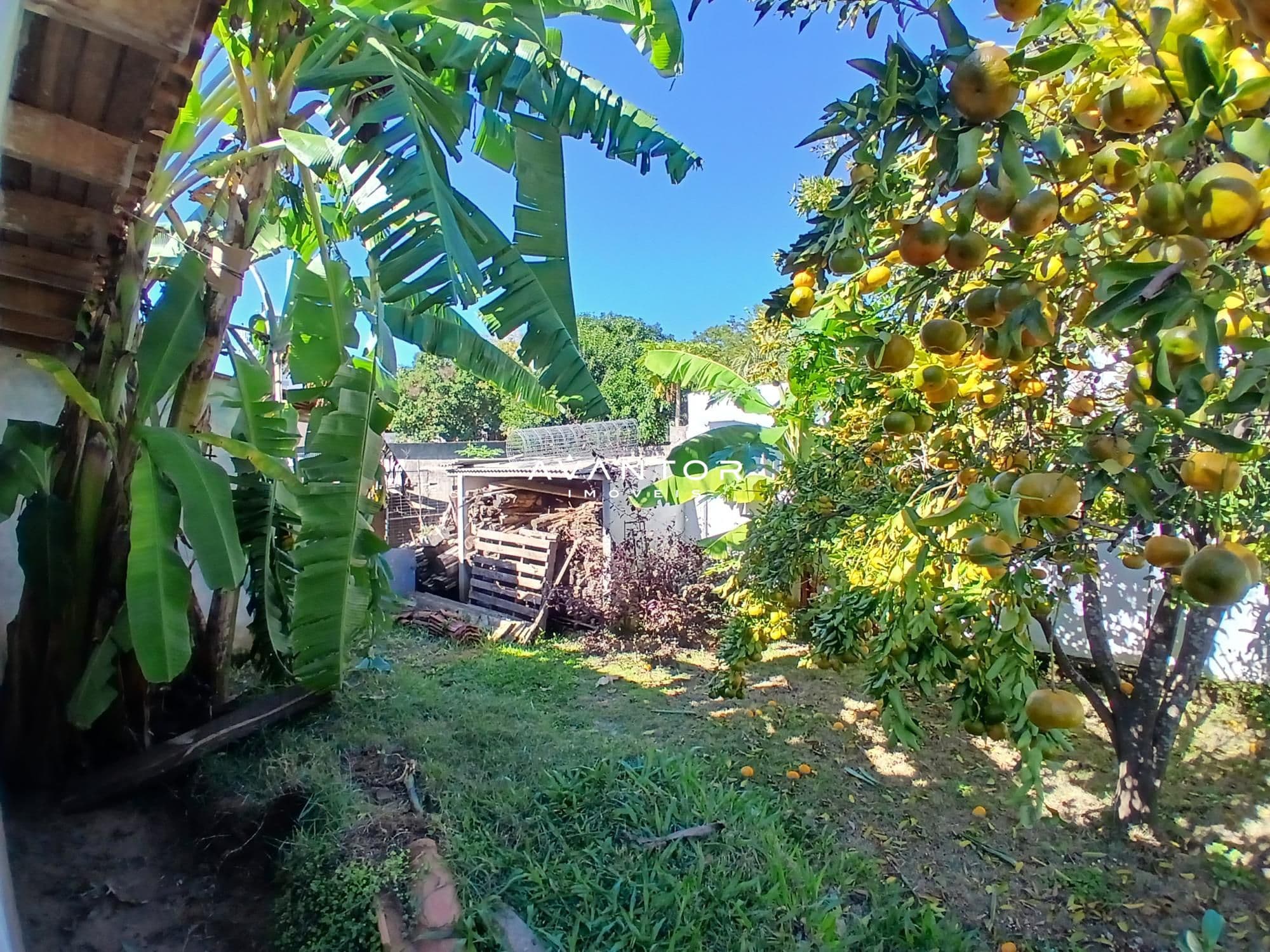 Casa com 5 quartos à venda em Menino Jesus, Santa Maria/RS — foto 11 de 14