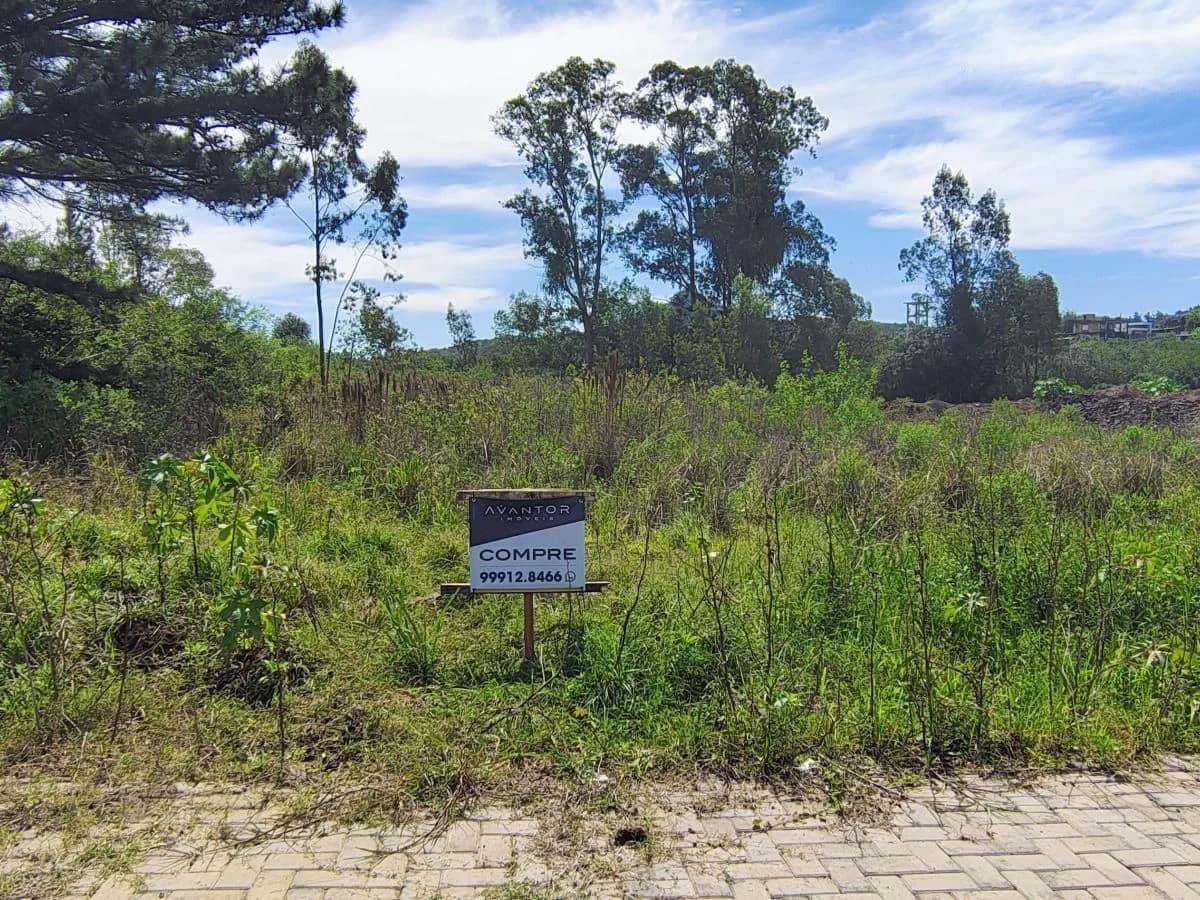 Terreno com vegetação nativa — Terreno à venda em Diácono João Luiz Pozzobon, Santa Maria/RS