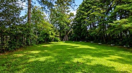 Terreno com árvores e gramado — Chácara com 3 quartos à venda em Km 3, Santa Maria/RS