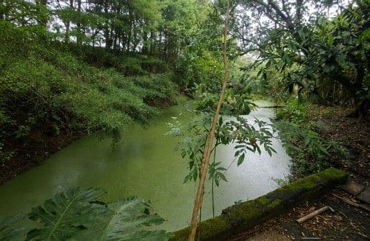 Chácara com 3 quartos à venda em Km 3, Santa Maria/RS — foto 8 de 12