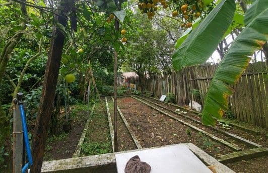 Chácara com 3 quartos à venda em Km 3, Santa Maria/RS — foto 10 de 12