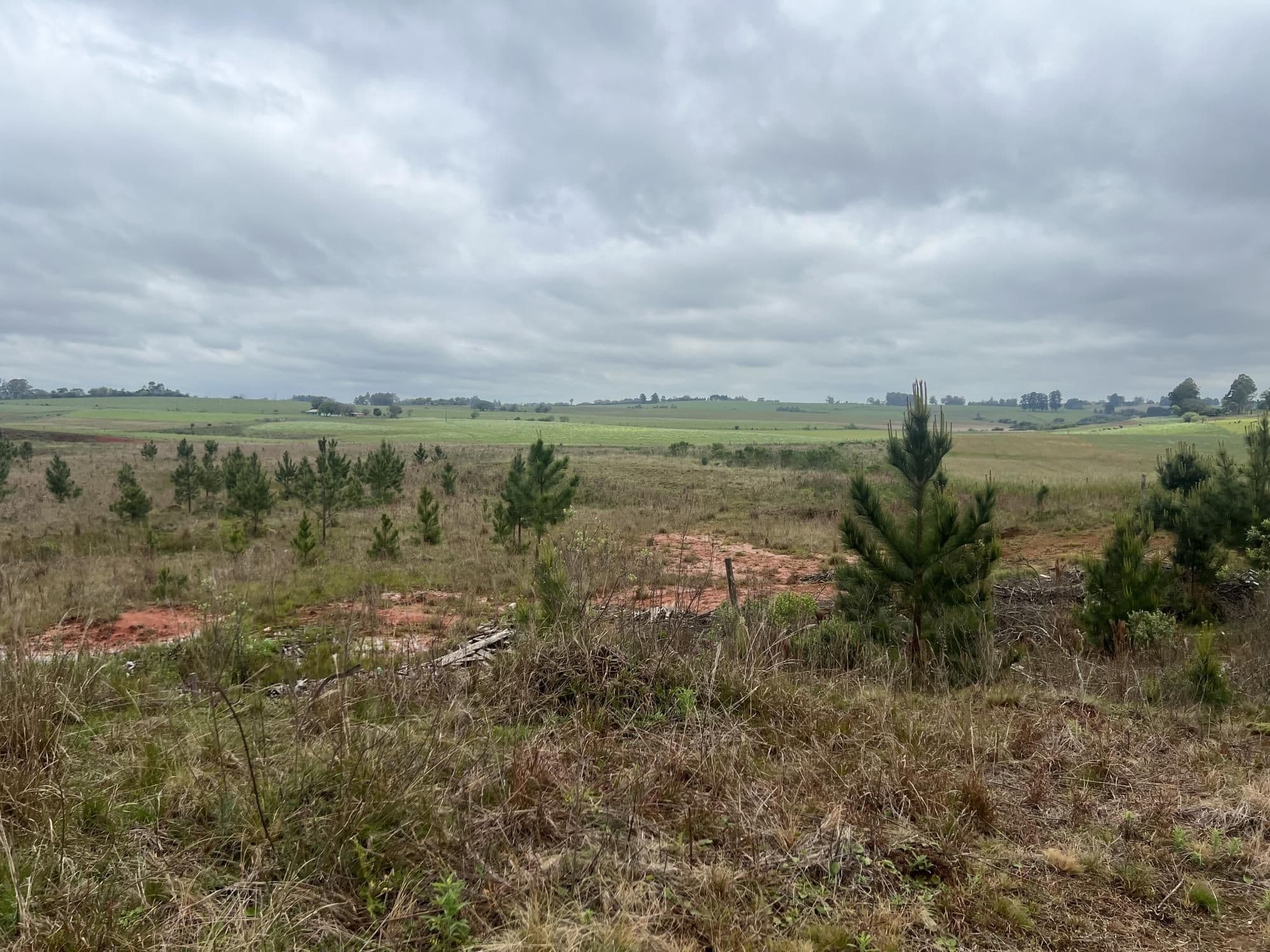 Terreno à venda em Boca do Monte, Santa Maria/RS — foto 8 de 18