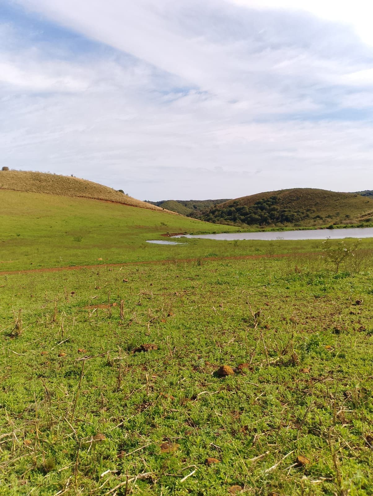 Campo à venda em Zona Rural, Santiago/RS — foto 2 de 2