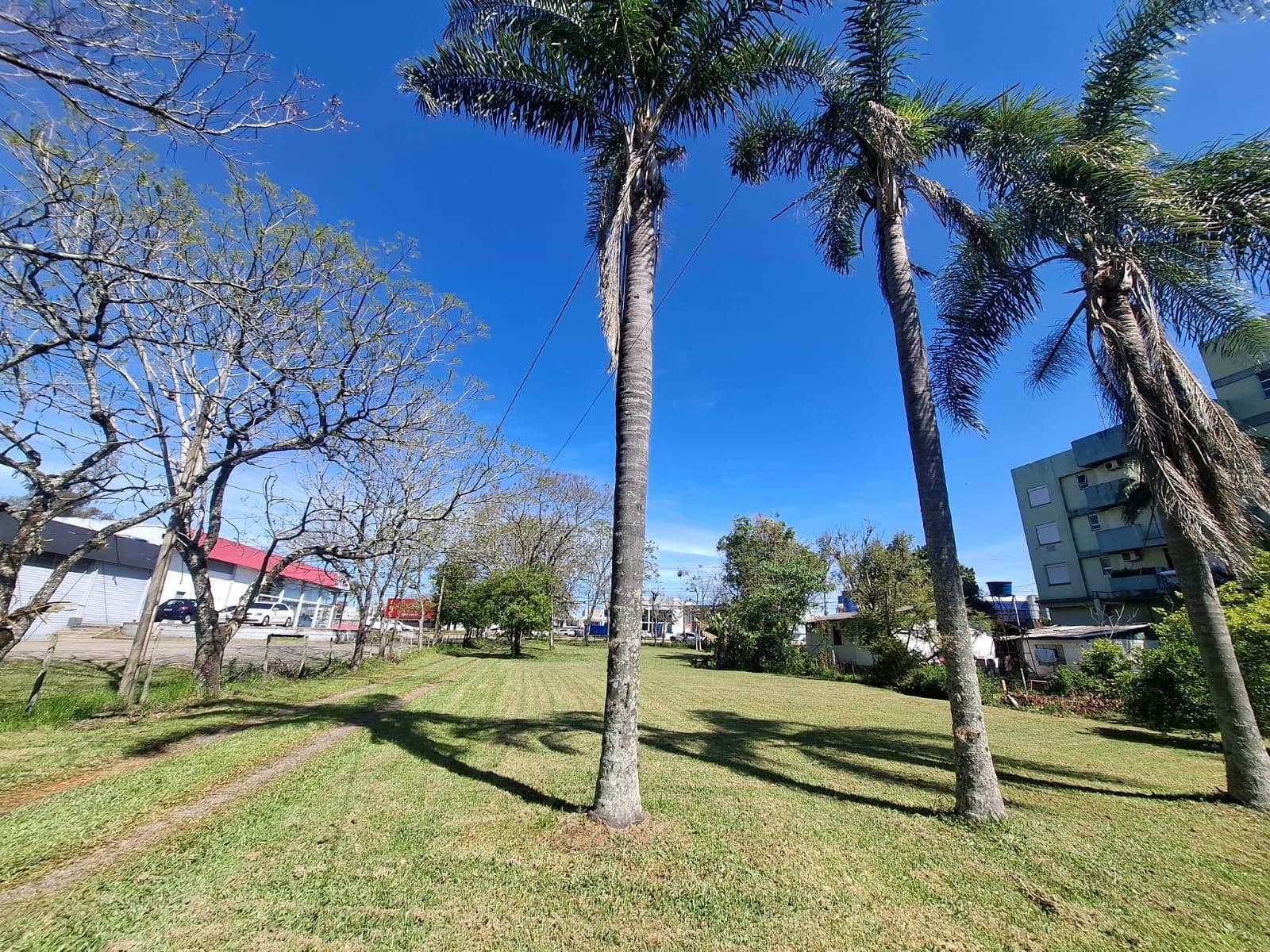 Terreno com árvores e área verde — Terreno à venda em Camobi, Santa Maria/RS
