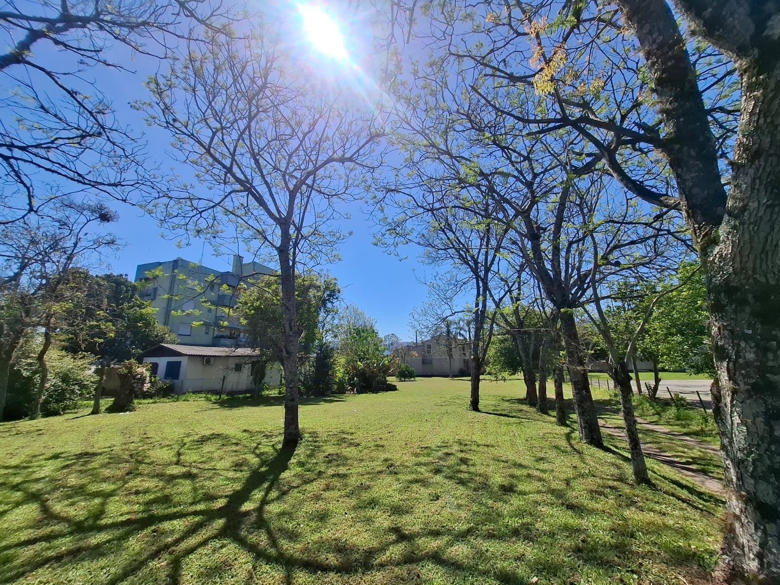 Terreno à venda em Camobi, Santa Maria/RS — foto 3 de 6