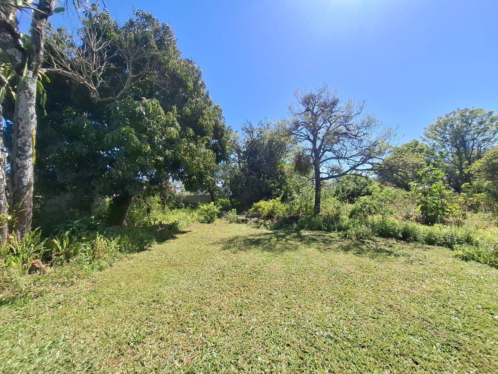 Terreno à venda em Camobi, Santa Maria/RS — foto 5 de 6