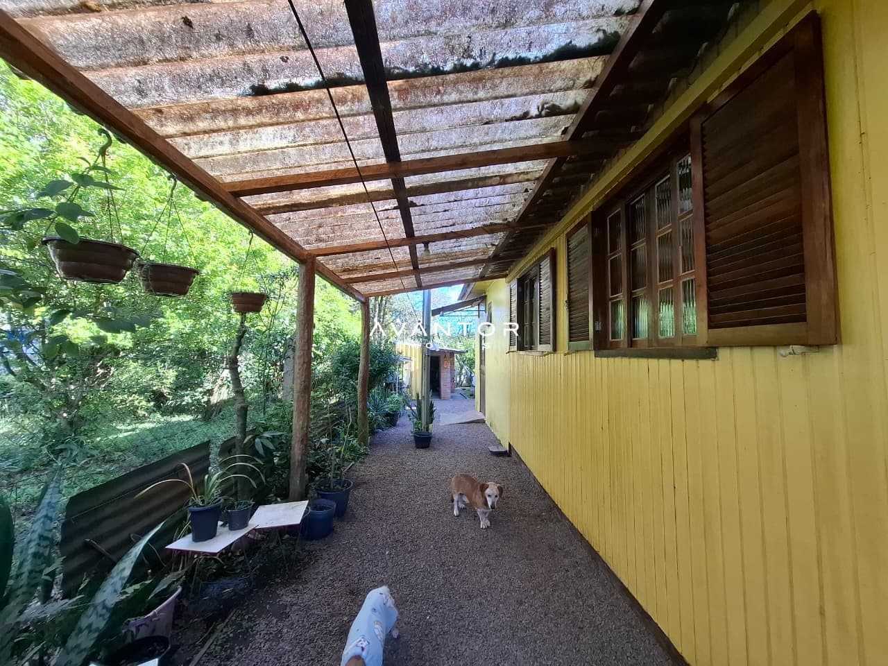Casa com 2 quartos à venda em Parque Pinhal, Itaara/RS — foto 5 de 12