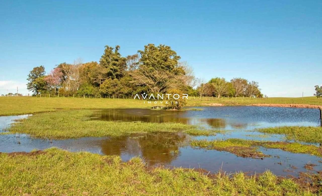 Campo à venda em Santa Flora, Santa Maria/RS