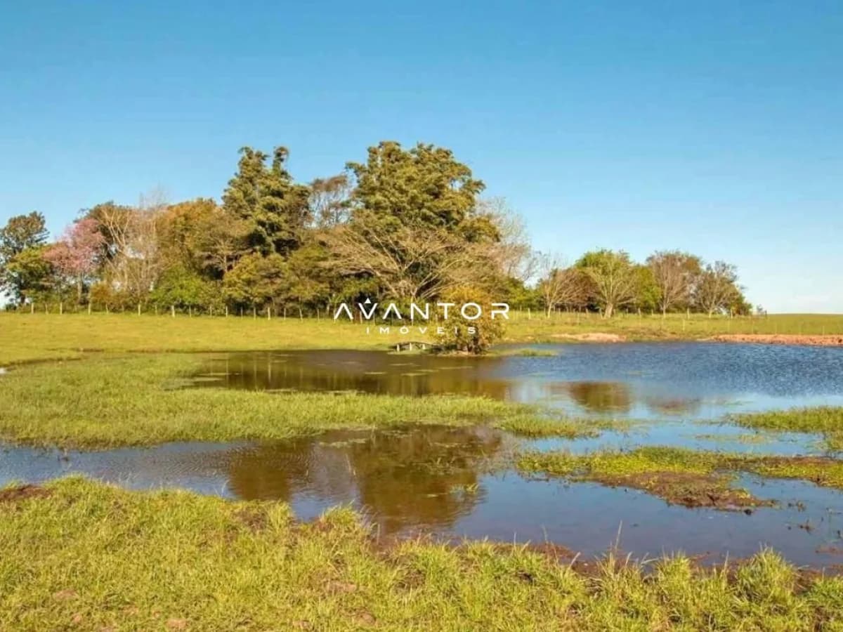Campo à venda em Santa Flora, Santa Maria/RS