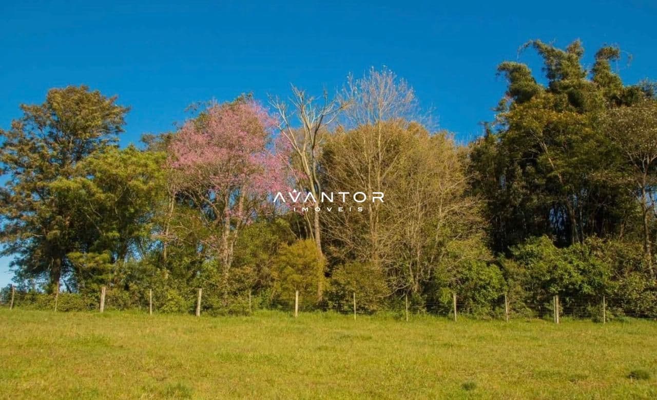 Campo à venda em Santa Flora, Santa Maria/RS — foto 3 de 4