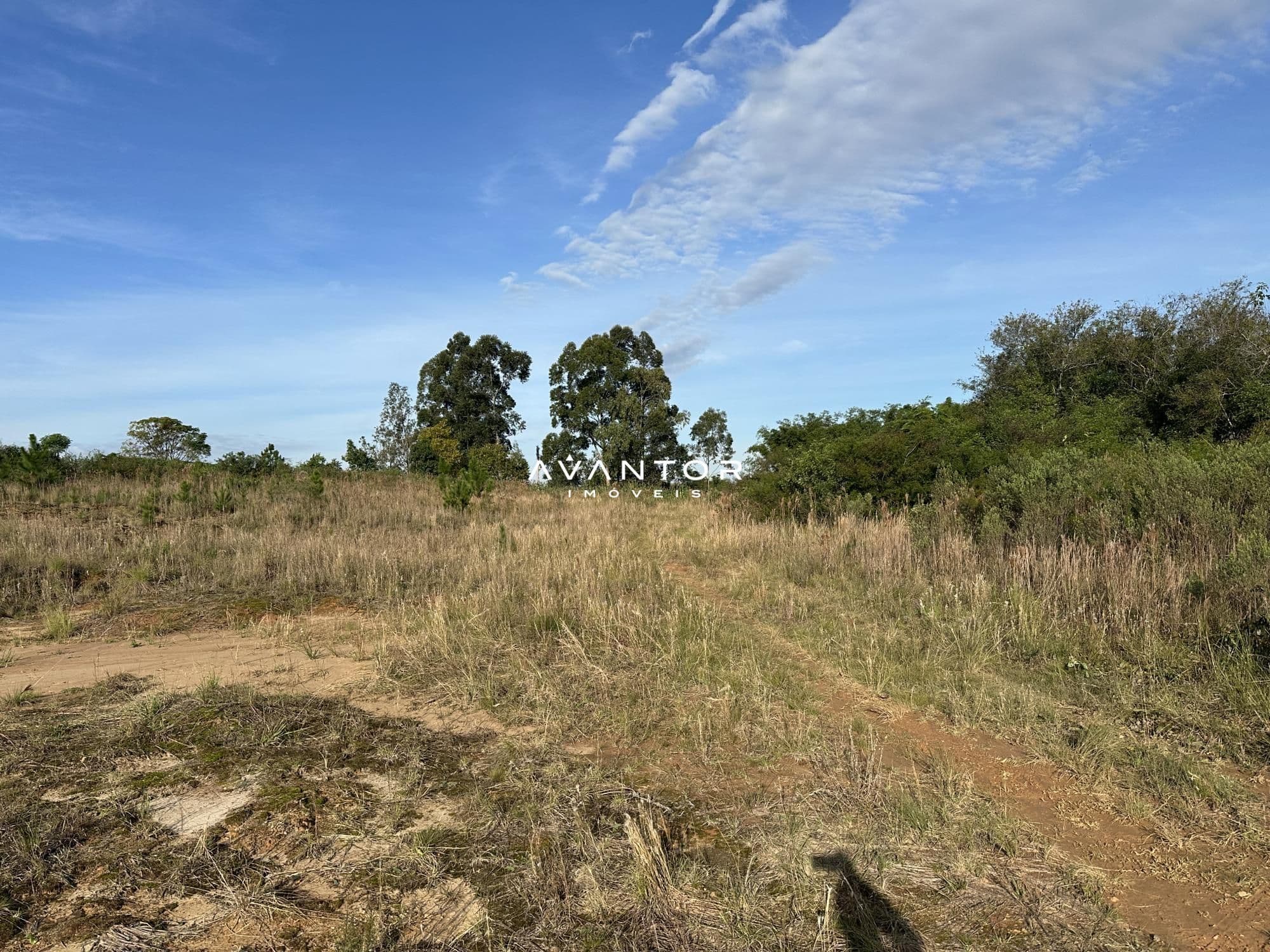 Terreno à venda em Pinheiro Machado, Santa Maria/RS — foto 4 de 5
