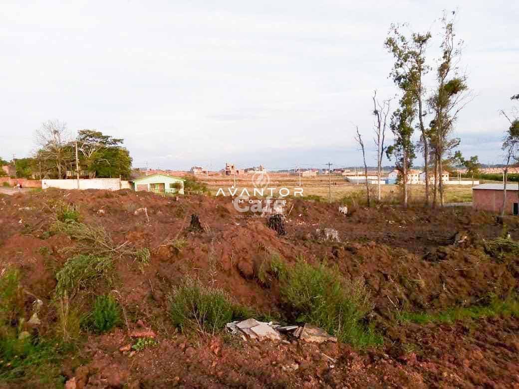 Terreno à venda em Diácono João Luiz Pozzobon, Santa Maria/RS — foto 2 de 5